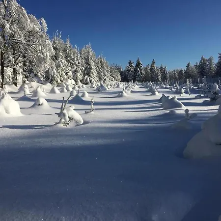 House In Bohemian Near Slope * Mezihori