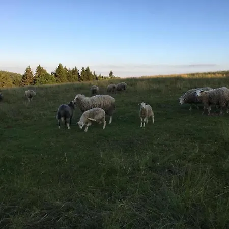 度假居 House In Bohemian Near Slope Mezihori