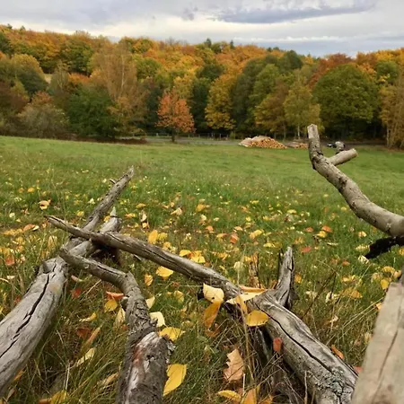 度假居 House In Bohemian Near Slope