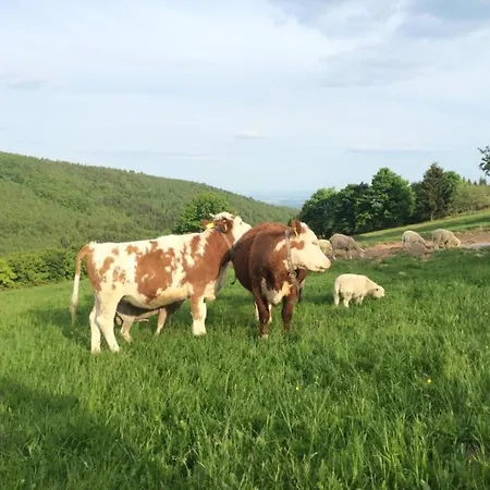 House In Bohemian Near Slope 度假居 *