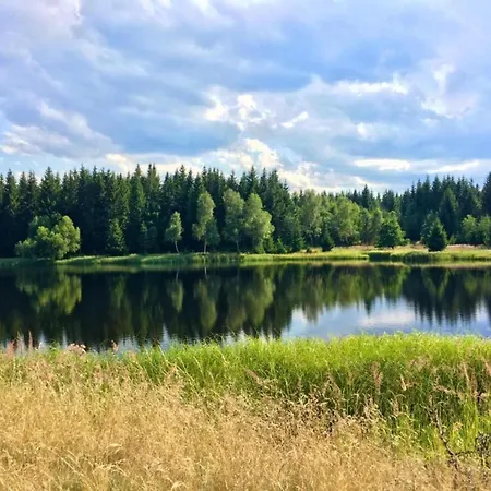 度假居 House In Bohemian Near Slope Mezihori