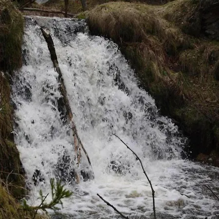 度假居 House In Bohemian Near Slope Mezihori