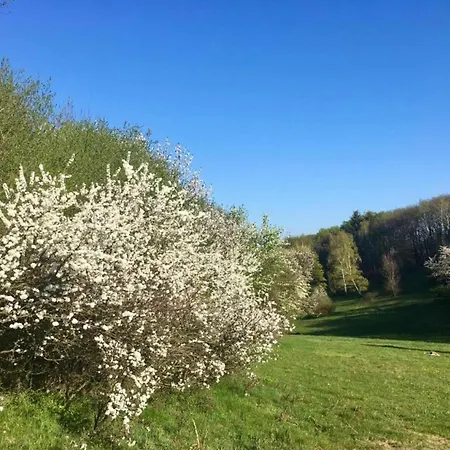 House In Bohemian Near Slope * Mezihori
