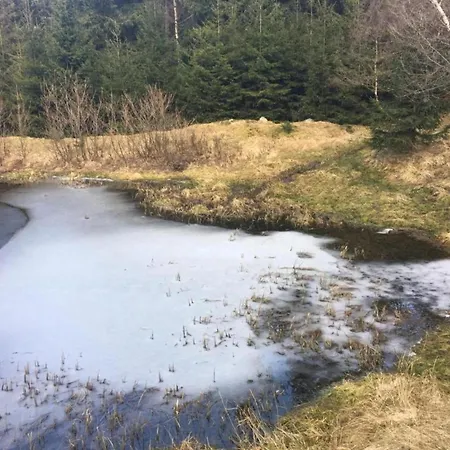 度假居 House In Bohemian Near Slope Mezihori