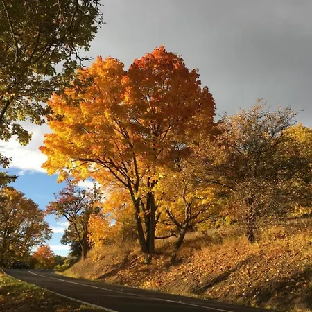 度假居 House In Bohemian Near Slope