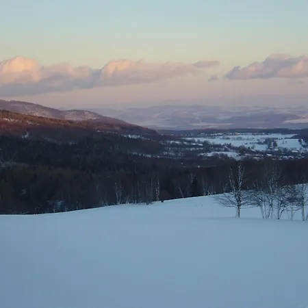 House In Bohemian Near Slope